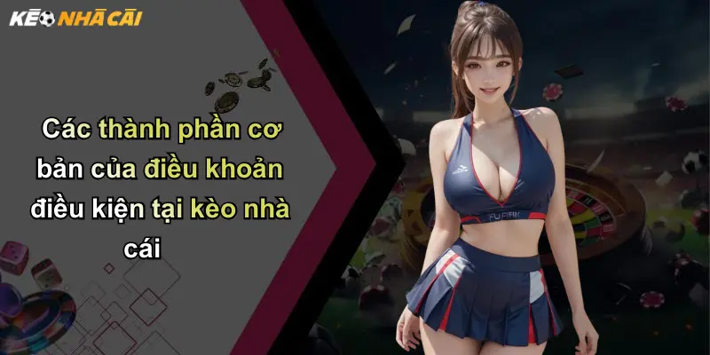 Các thành phần cơ bản của điều khoản điều kiện tại kèo nhà cái