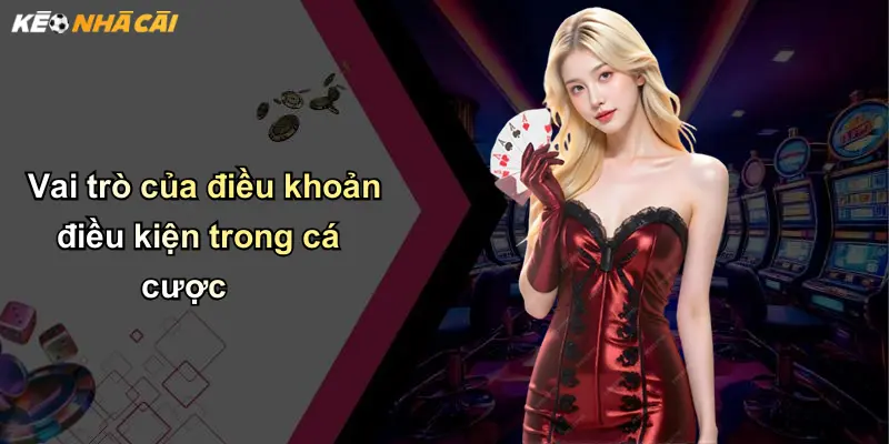 Vai trò của điều khoản điều kiện trong cá cược