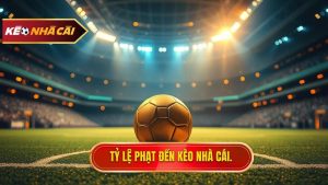 Tỷ lệ bàn thắng từ phạt đền tại Euro 2024/World Cup 2026