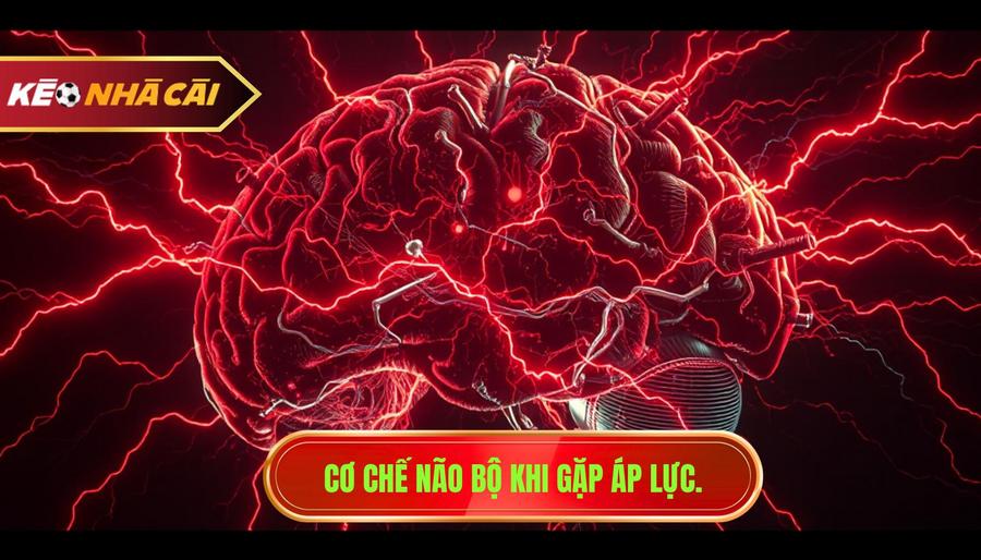 Áp lực khiến sai lầm xuất hiện: Cách vượt qua trong cá cược 2 Cơ chế khoa học: Tại sao áp lực khiến sai lầm xuất hiện?