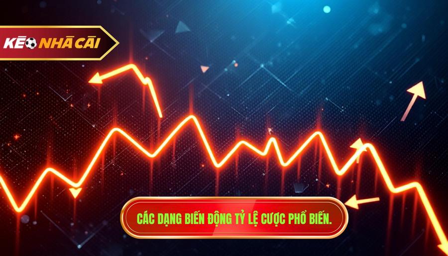 Các dạng biến động phổ biến của tỷ lệ cược