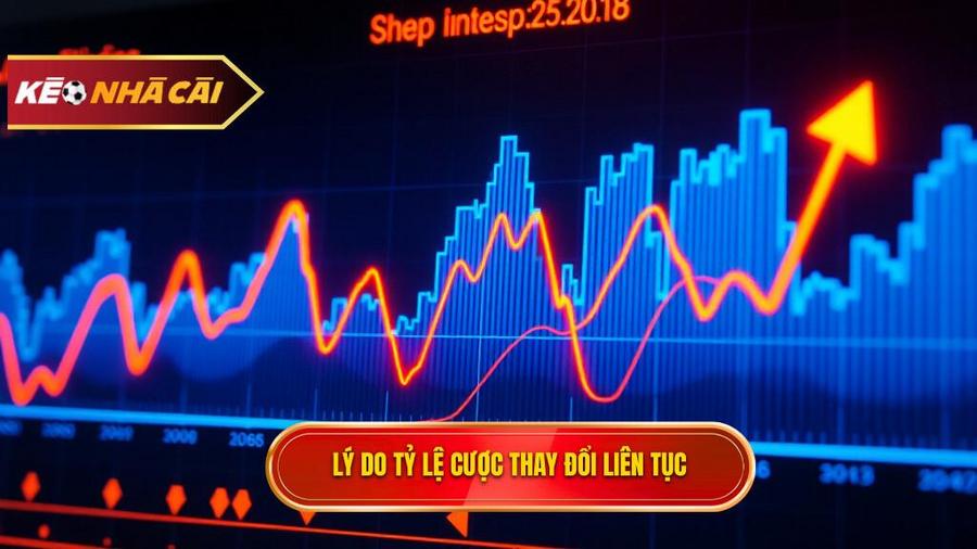 Tại sao tỷ lệ cược đêm nay liên tục thay đổi?