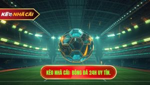 Bóng đá 24h